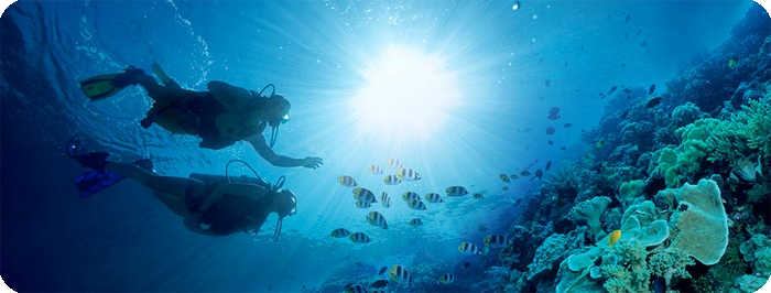 World Class Cruises Tours Sandals Unlimited Diving